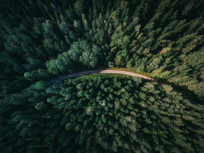 Aerial view of a road winding through forest